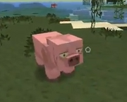 The Last Derpy Pig