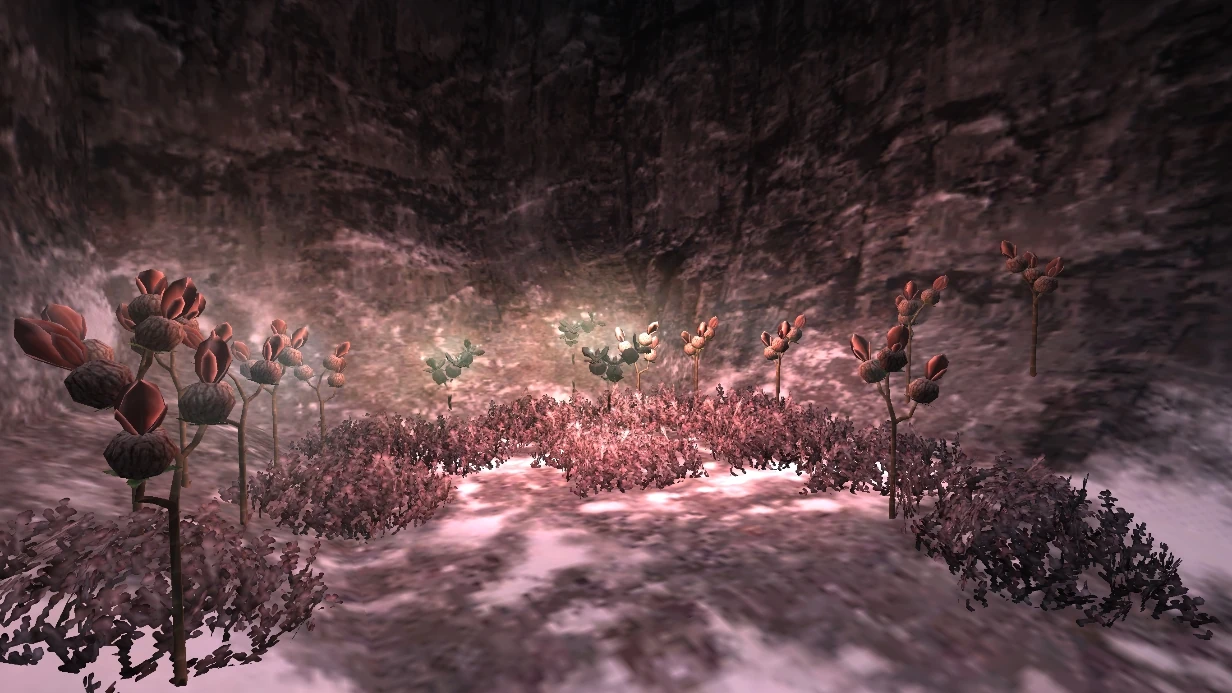 Qufim Island The Final Fantasy Wiki has more Final Fantasy