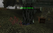 Alanndarian Nightsong Location