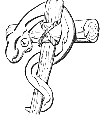 Bronze Serpent Coloring Page Coloring Coloring Pages