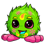 JubJub Disco baby