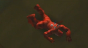 MonsterOckUnconscious