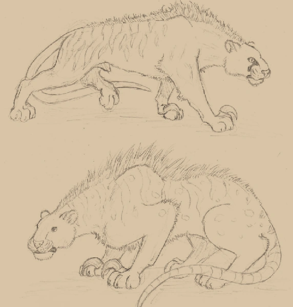 ���������� � ����� ��� ������� - ������ ����� ����