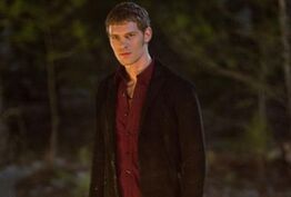 Klaus-pic 465x315-1-