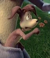 Rudy