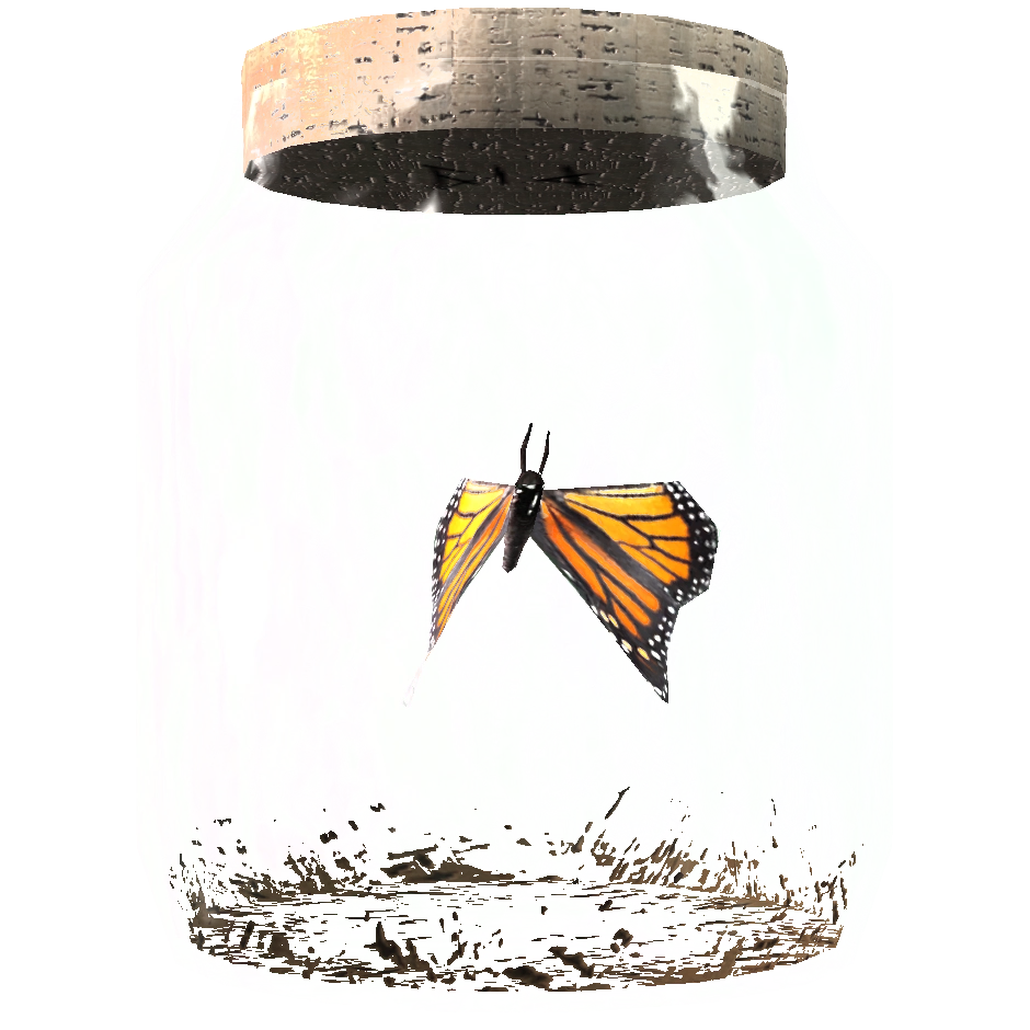 Butterfly in a Jar The Elder Scrolls Wiki