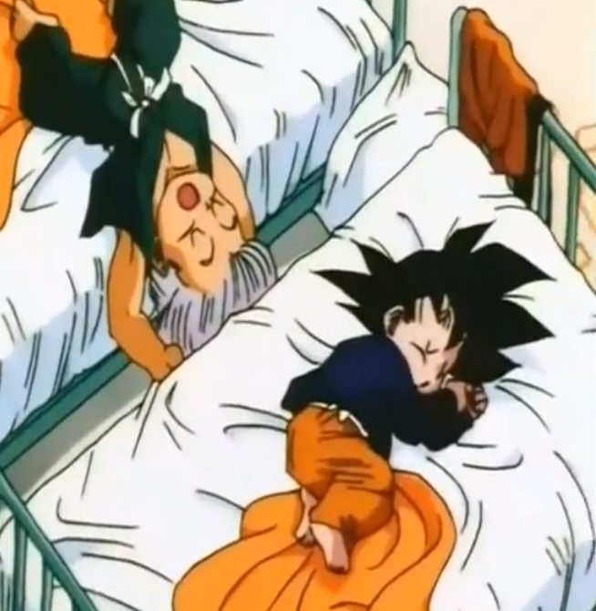http://img3.wikia.nocookie.net/__cb20120911045834/dragonball/es/images/9/9c/Sue%C3%B1o_Goten_y_Trunks.png