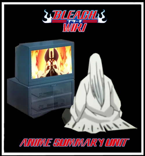 Bleach WikiAnime Summary Unit Bleach Wiki Your guide to the Bleach manga and anime series