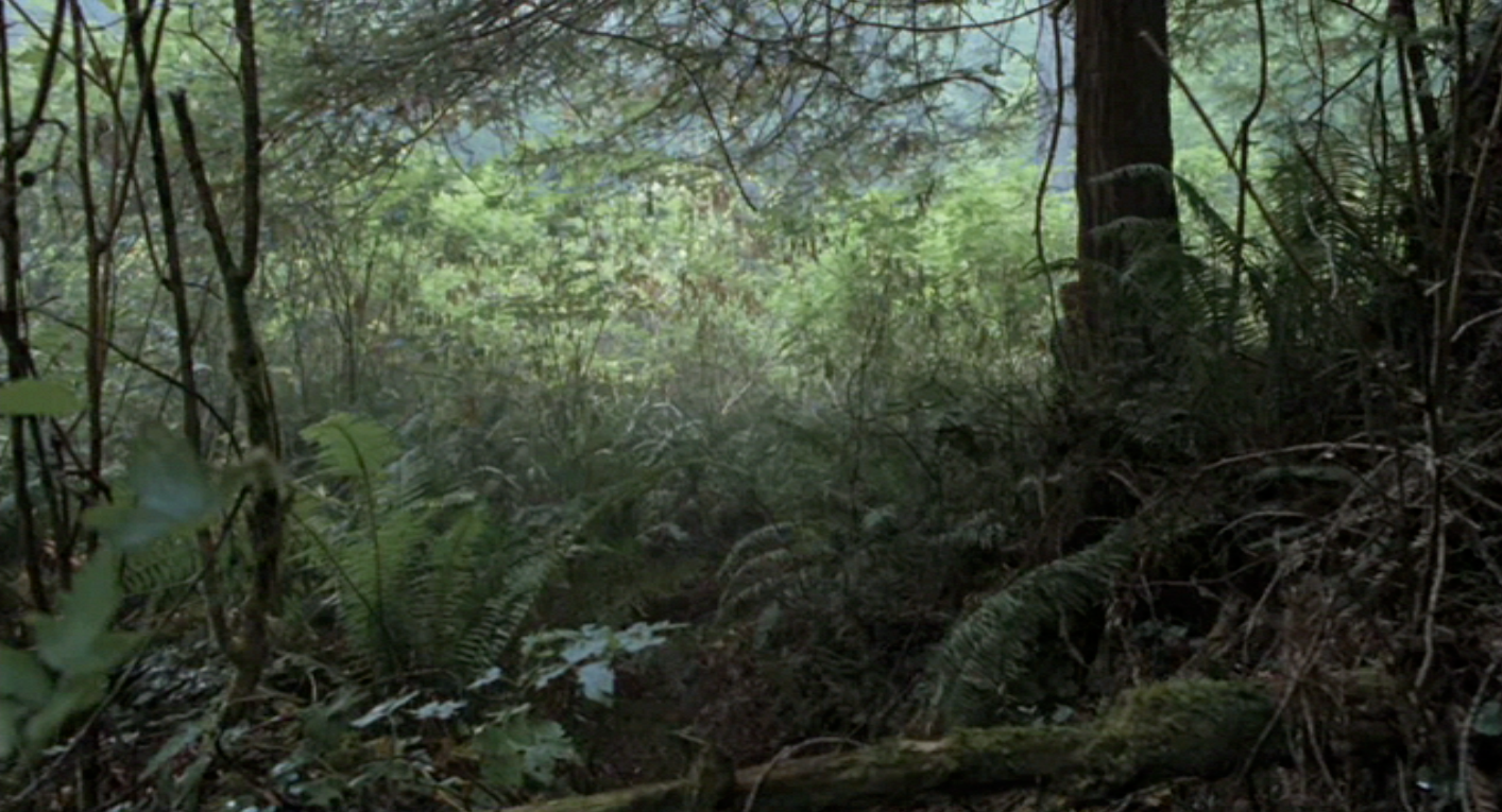 jurassic world forest
