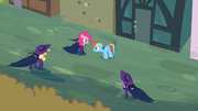 Applejack, Pinkie, Rainbow Dash and Twilight S2E08