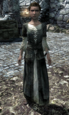 Nilsine Shatter-Shield