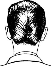 Ducktail (1)