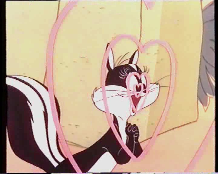 Penelope Pussycatgallery Looney Tunes Wiki 