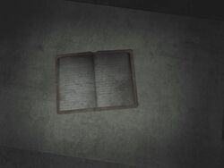 Prison diary