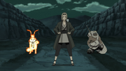 Tsunade's Resolve