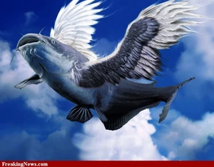 300px-Flying-Catfish--76186.jpg