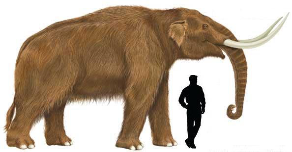 mastodonte prehistorico