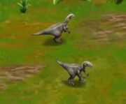 Dryosaurus JPbuilder