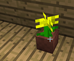 Potwyellowflower