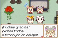 GafitasBromitas.jpg