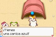 Canicaazul.jpg