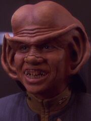 Nog 2374