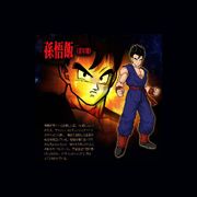 Adult Gohan