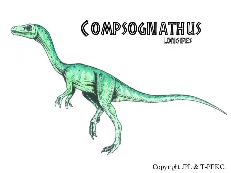 small dinosaur compsognathus