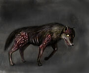 Doggy