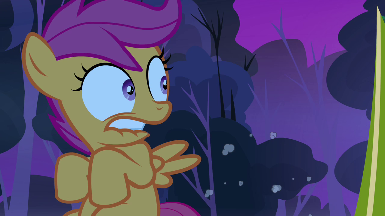 [Bild: Scootaloo_back_at_being_scared_S3E06.png]
