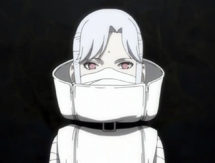 Hiruko (film) Naruto Wiki