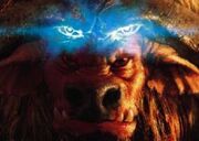 MindVisionTCG