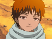 Sasori petit