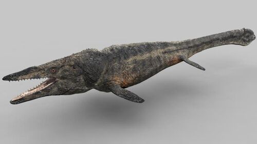 mosasaurus reptiles