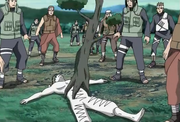 Zetsu Blanco Árbol