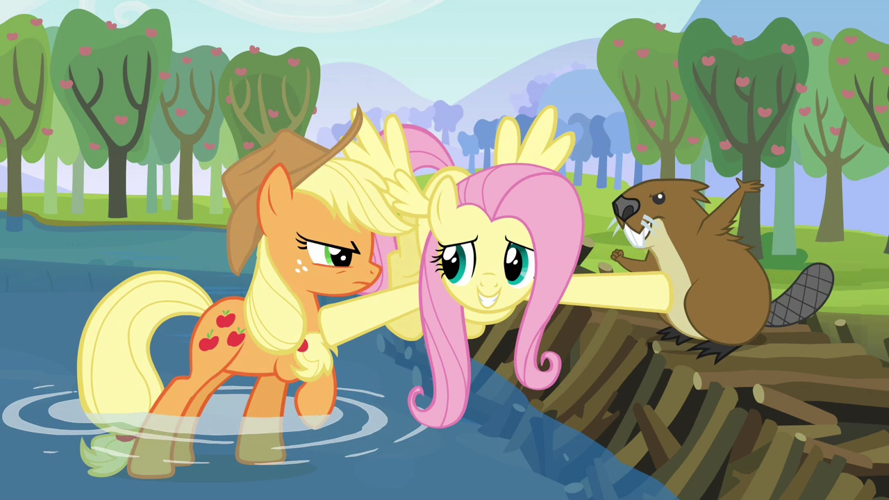 My Little Pony Applejack And Fluttershy
