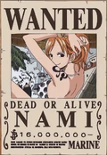 Nami's Wanted Poster