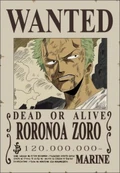 Zoro1