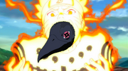 El cuervo sale de la boca de Naruto
