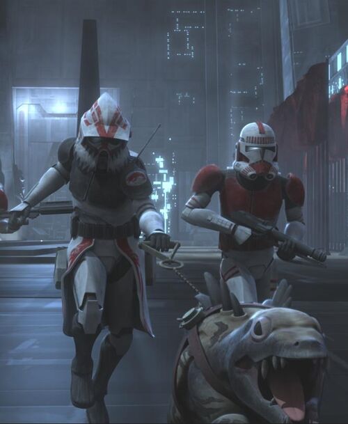 star wars shock trooper clone