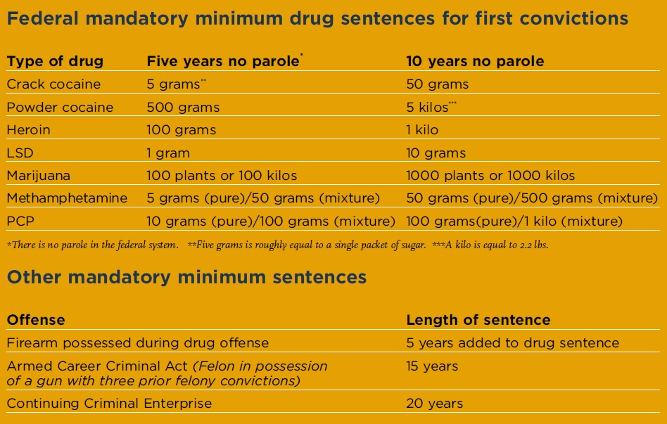 PortalDrug War, mandatory minimum sentencing, NRA, and guns Cannabis