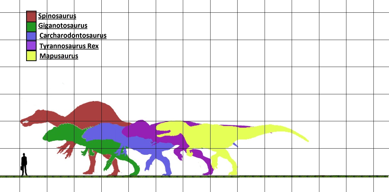 Image Largest Theropod Dinosaurs Right To Left Spinosaurus Giganotosaurus 