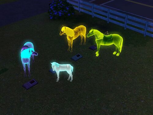 how to remove ghost pet from household sims 4