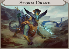 Storm Drake