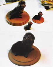 Rhyl study models