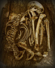 Pre-dynastic burial 2