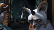 Shifu-disappointed