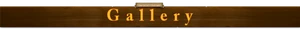 HeaderGallery