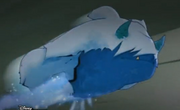 Icecrawler