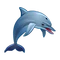 Asset Dolphin